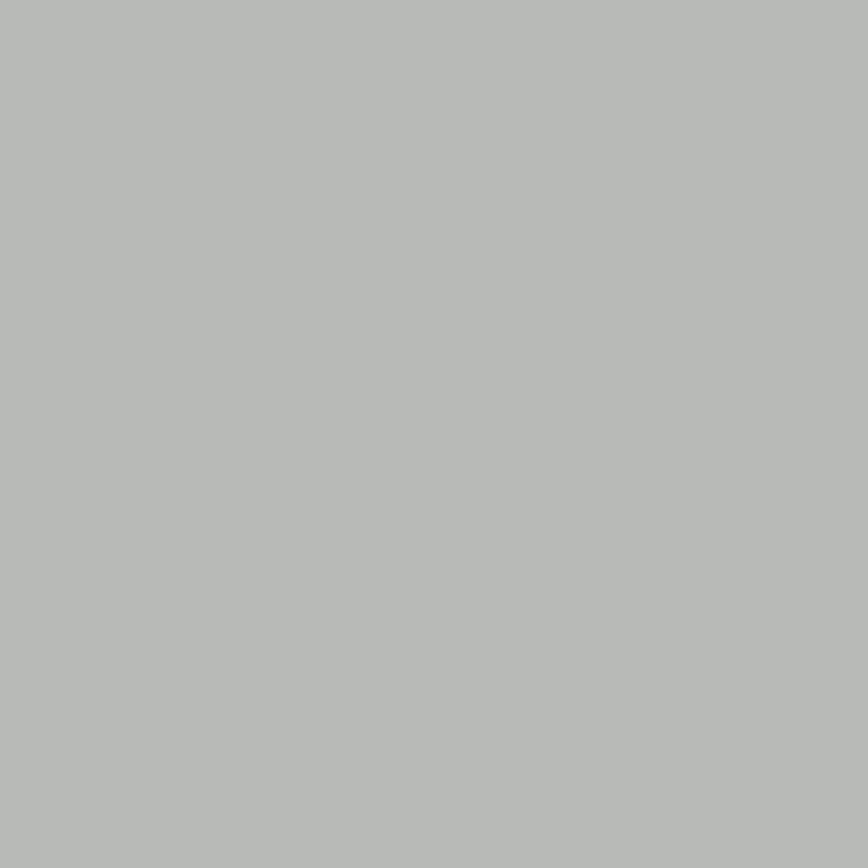 duralloy soild gull grey matt